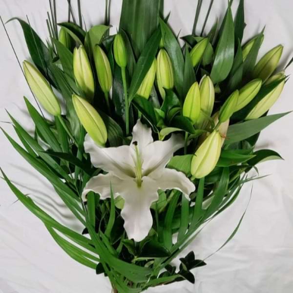 Christmas Lily Wrap
